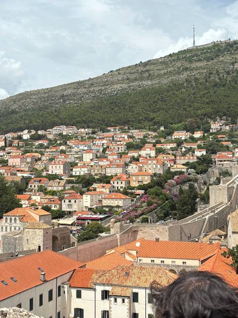 View of a hillside town with many houses.