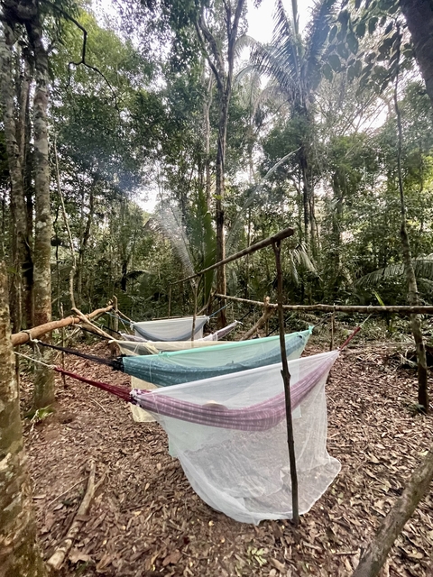       A series of hammocks set up outdoors in a forest setting.
  