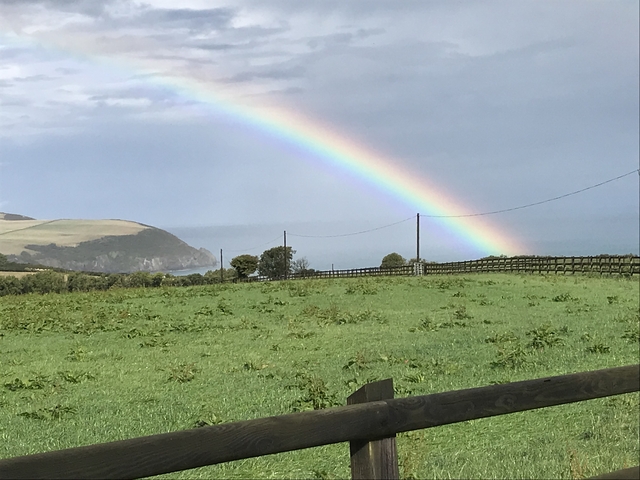       A vibrant rainbow stretching over a lush green field by the coast.
  