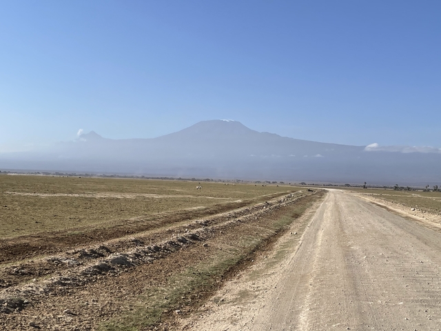       Clear view of Mount Kilimanjaro with a dirt road leading towards it.
  