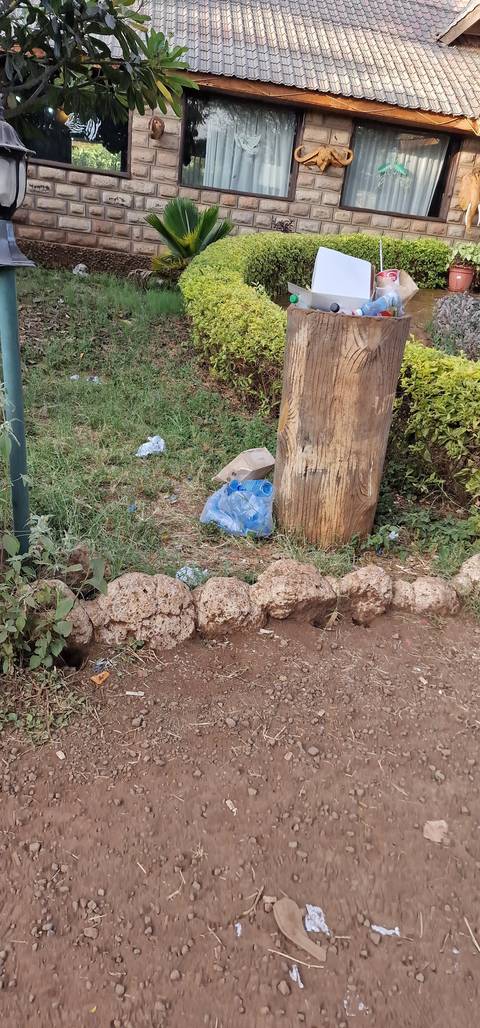       Wooden post amidst litter and dry grass in a garden.
  
