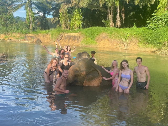       People interacting with an elephant in a river.
  