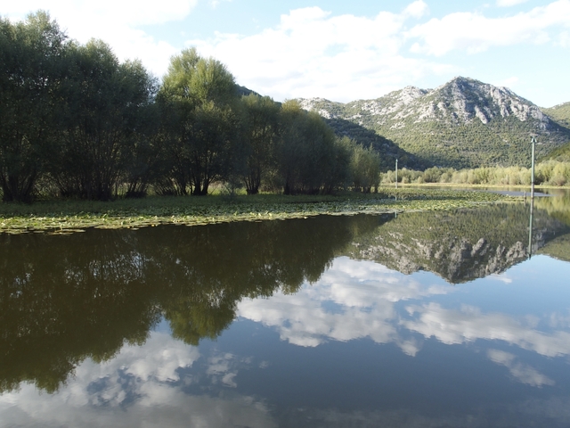       Lush landscape with water reflections and mountains.
  