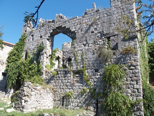 Ancient stone wall ruins with vegetation.