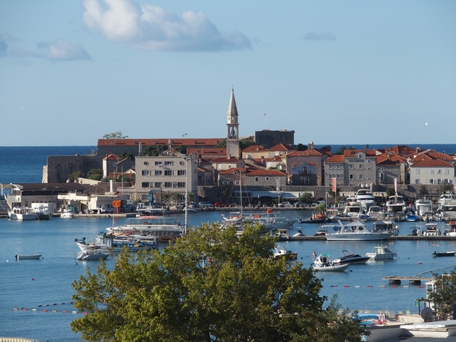       A marina with boats and a historic town in the background.
  