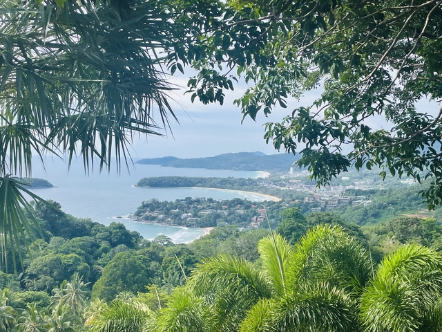 Panoramic view of a coastal city nestled between forests and the sea.