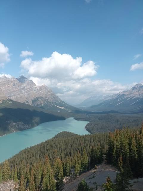 Mountains and forest surrounding a turquoise lake.