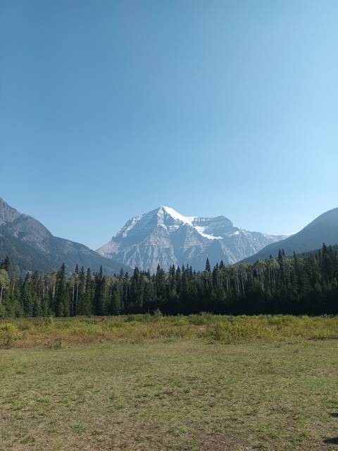       Mountain peak with snow and a grassy field in the foreground.
  