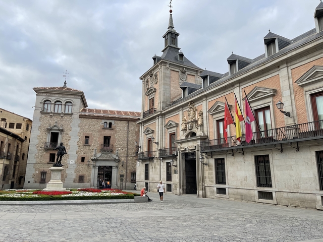 Historic buildings with flags and a statue in a plaza.