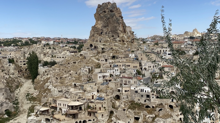       Panoramic view of a town built into a rocky hillside.
  