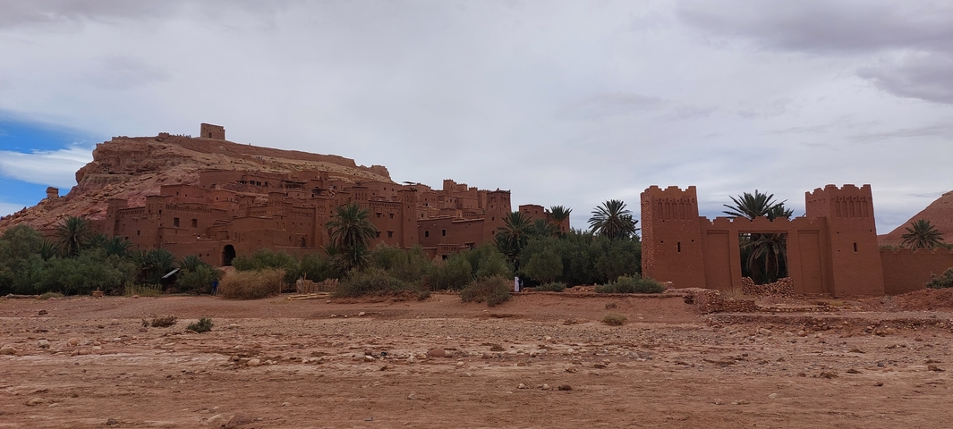 Historical kasbah with surrounding palm trees.