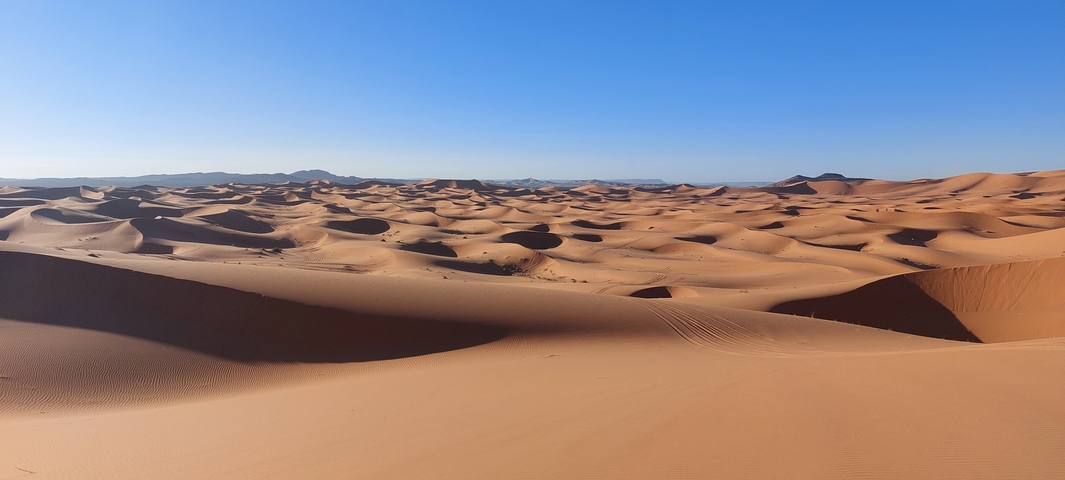       Sweeping view of sand dunes under a clear sky.
  