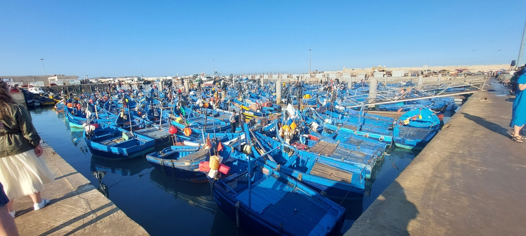       Harbor filled with traditional blue fishing boats.
  