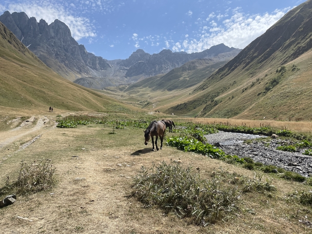       A horse grazing in a mountainous valley.
  