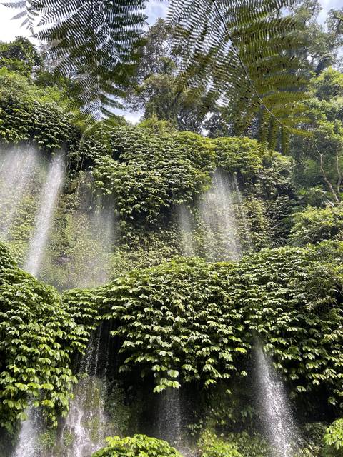 Waterfalls cascading over lush fern-covered walls