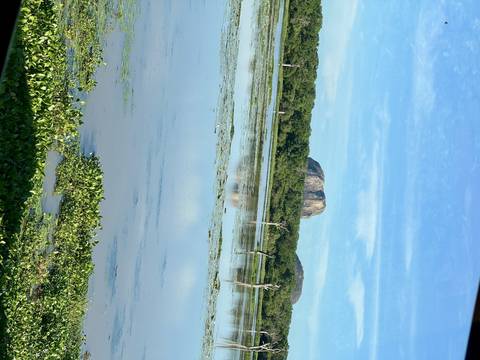       Wetland landscape with large rocks and water.
  