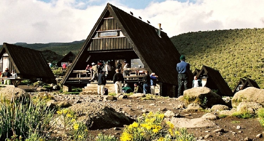       Hut in a rustic mountain setting surrounded by greenery.
  