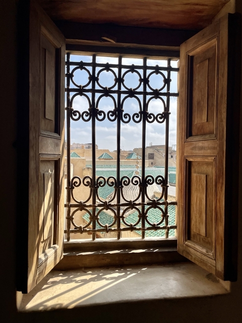       View through ornate window grilles towards a historic cityscape.
  