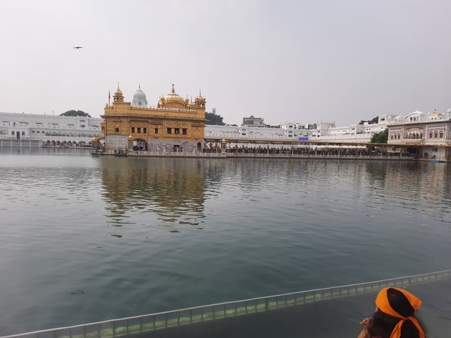       Golden temple reflected in a large pool of water.
  