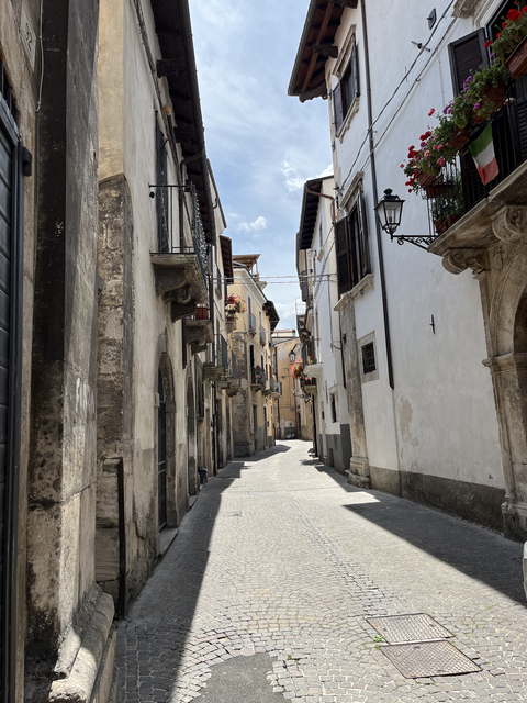 Narrow cobblestone street in an old town setting.