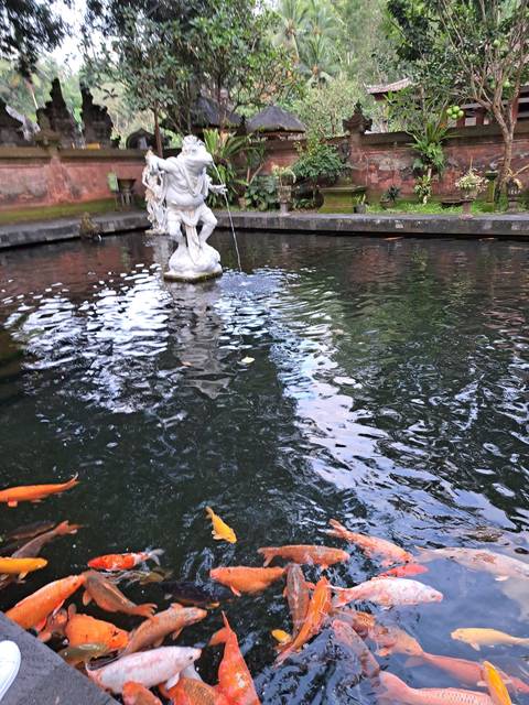       Statue and koi pond with colorful fish.
  