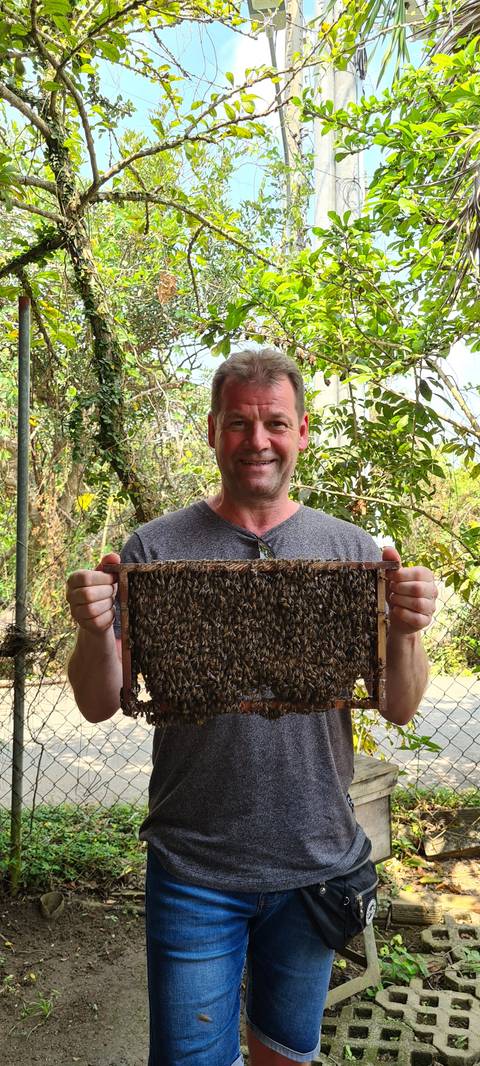       Man holding a bee frame with bees in a rural setting.
  