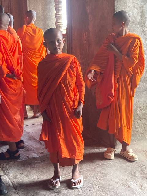       Group of Buddhist monks in orange robes inside a temple.
  