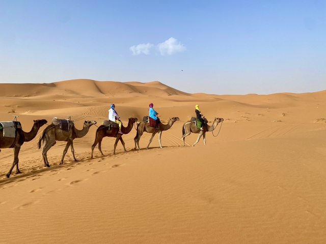 Camel caravan through the desert