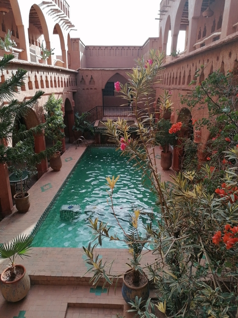       Luxurious pool surrounded by greenery in a courtyard.
  