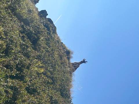       Hiker making a peace sign on a grassy hill.
  