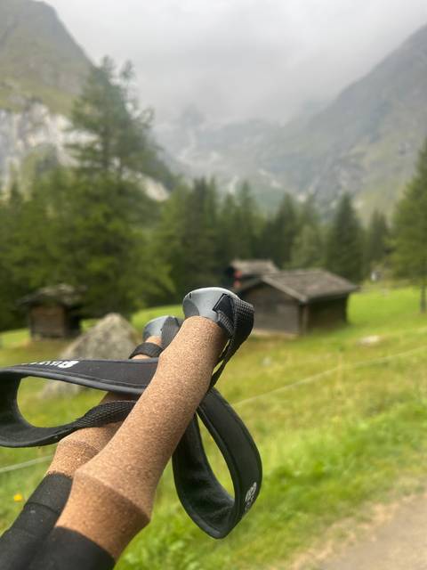       Close-up of hiking poles with a blurry mountain in the background.
  