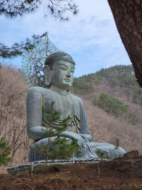       Large Buddha statue surrounded by trees.
  