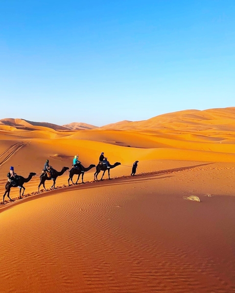 Camel caravan trekking through desert dunes.