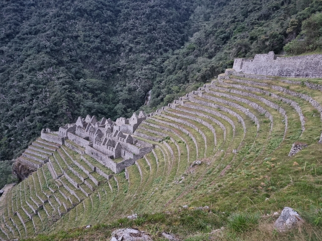       Stunning view of ancient terraces in a lush setting.
  