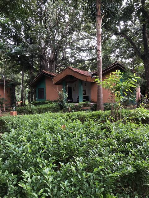       Nature lodge surrounded by lush greenery.
  