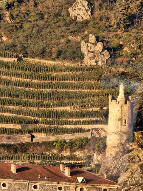 Terraced vineyards and a tower.