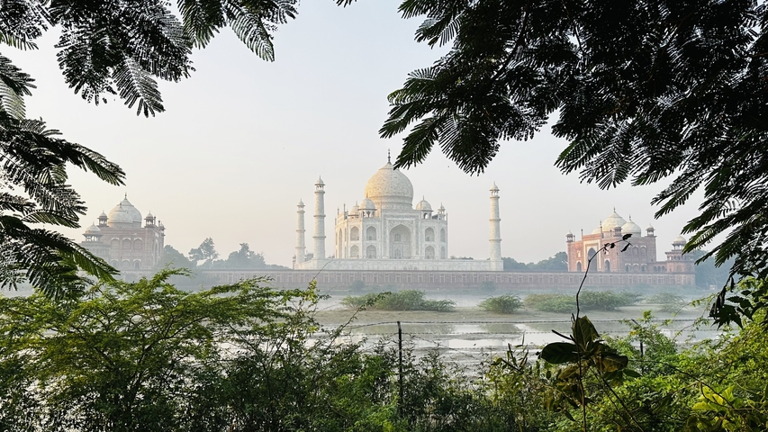 View of the Taj Mahal framed by trees.