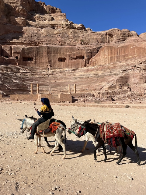 Person on a donkey in front of ancient ruins carved into a cliff.