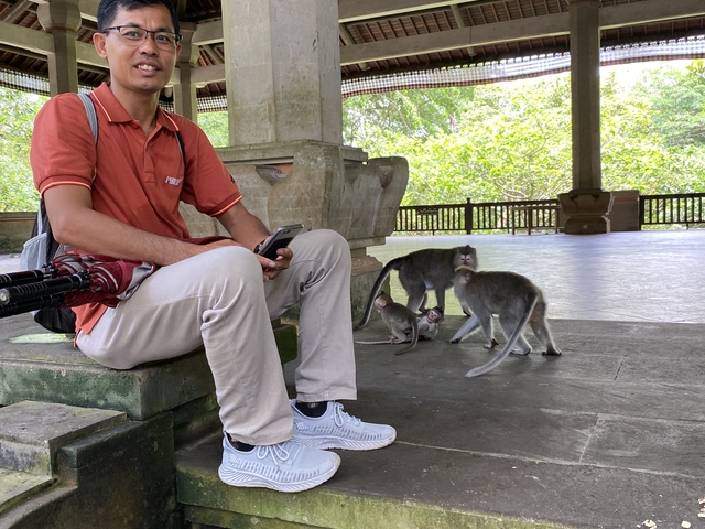 Person sitting with monkeys in a park setting.
