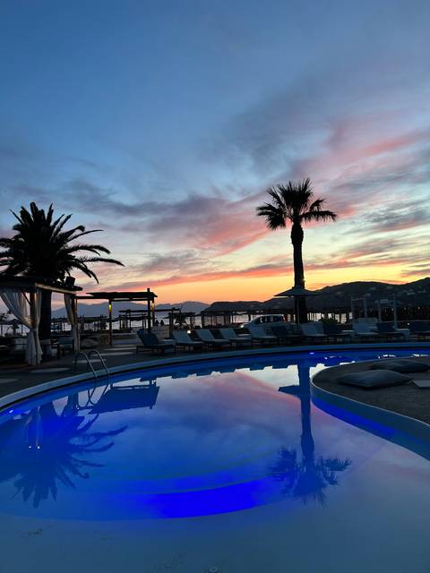 Poolside sunset with palm trees and reflections.