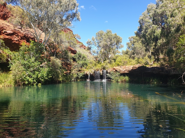       A tranquil waterfall amidst lush greenery.
  