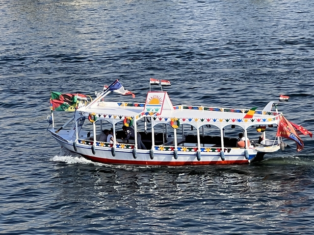       Decorated boat navigating through a river.
  