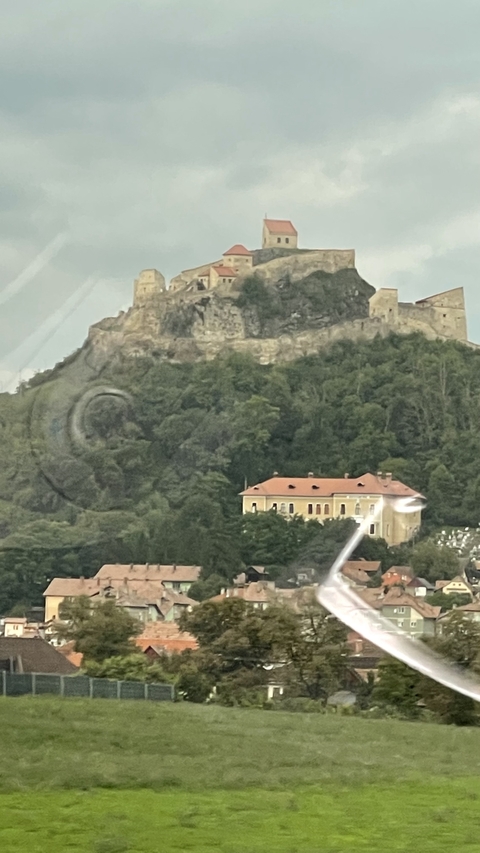 Blurry image of a castle on a hill with trees and a building below.
