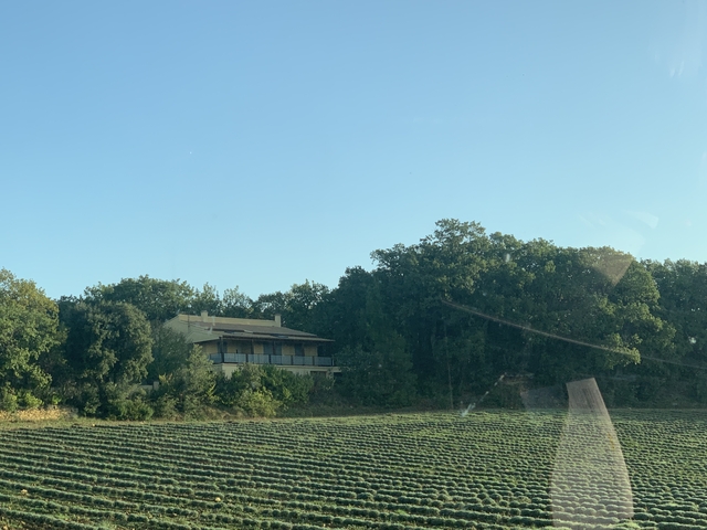 A house surrounded by trees with a field in front.