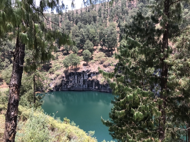       A serene green lagoon surrounded by trees.
  