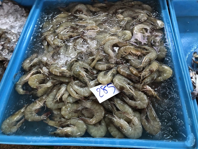 Raw shrimp in a blue tray with ice and a price tag.