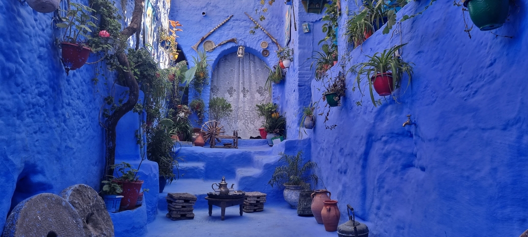 Bright blue-walled street decorated with plants and pots.