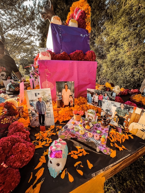       Día de los Muertos altar with photographs and flowers.
  