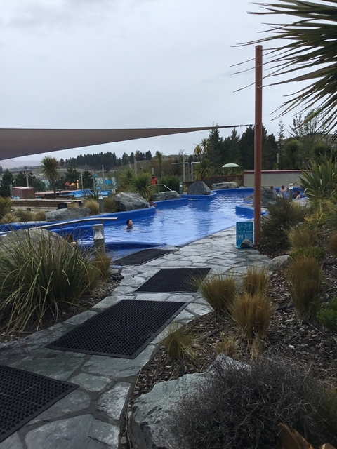       A public pool area with people swimming amidst lush vegetation.
  