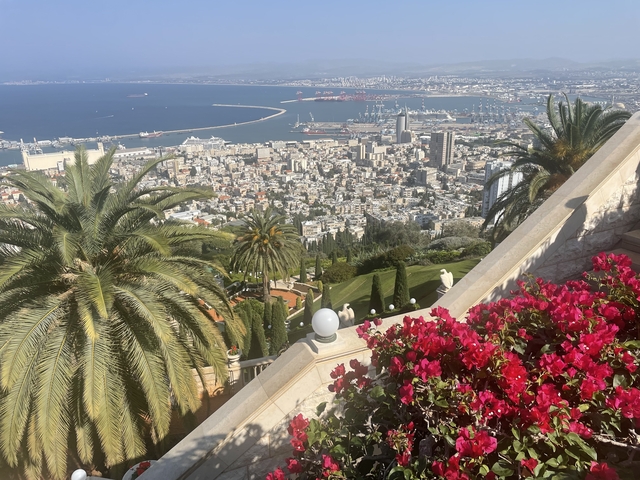       A view of a city with a harbor, gardens, and palm trees.
  